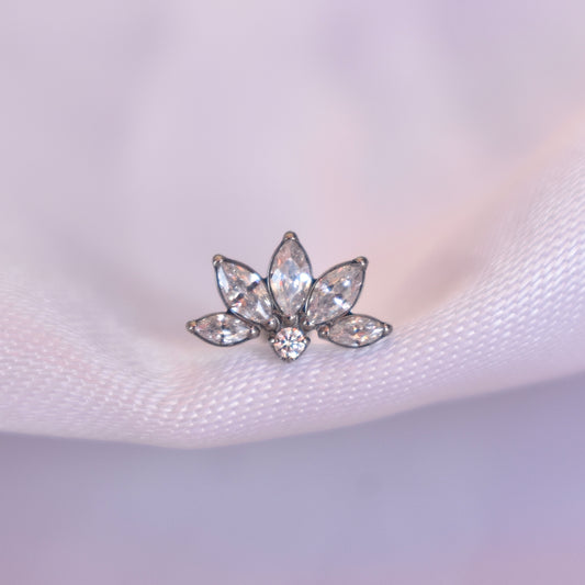 LOTUS