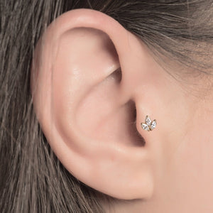 TRAGUS
