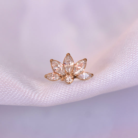 LOTUS